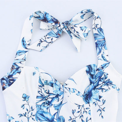 European And American Style Women's Fashion Sexy Hot Girl Printed Halter Dress